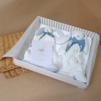 Blue Bunny Gift box