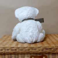 Organic Teddy Bear Fluffy Soft Toy - Gift Boxed - White